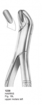  HARRIS Fig. 18L upper molars left 